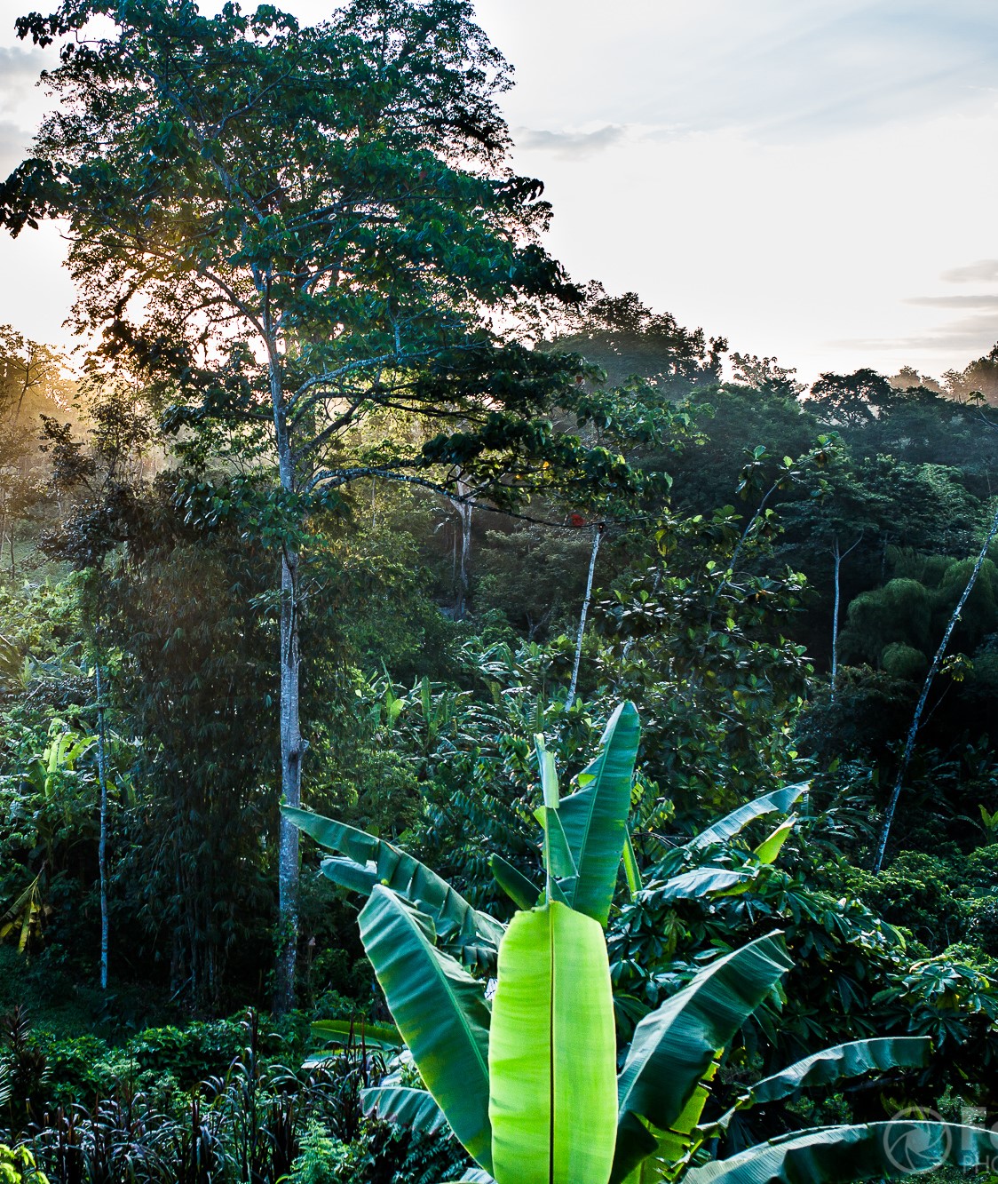 Ara-Projekt Finca Curré